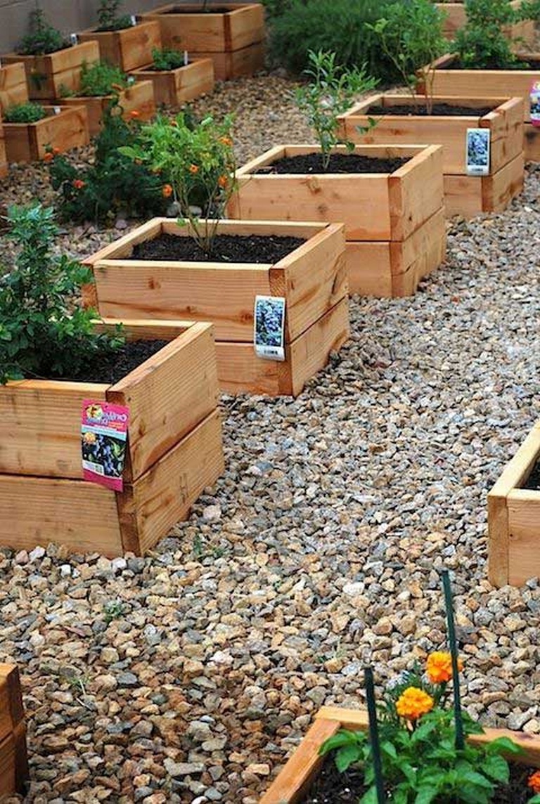 15+ Accurately Best DIY Garden Bed and Planter Ideas