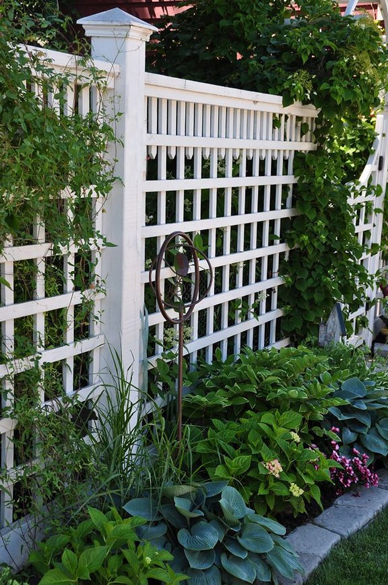Amazing Fence Ideas for Back Yard and Front Yard - Page 24 of 50